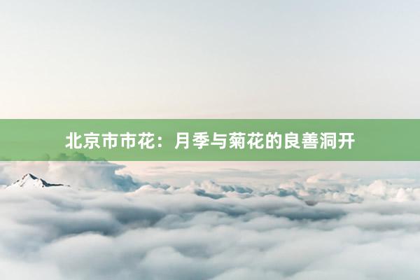 北京市市花：月季与菊花的良善洞开