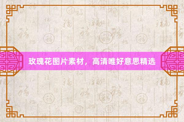 玫瑰花图片素材,高清唯好意思精选